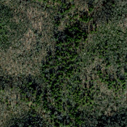 Satellite imagery of Fork Ridge, US