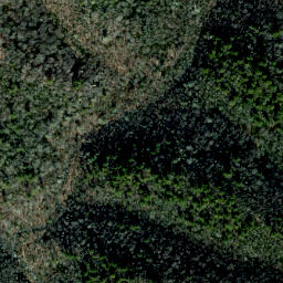 Satellite imagery of Fork Ridge, US
