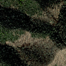 Satellite imagery of Green Ridge, US