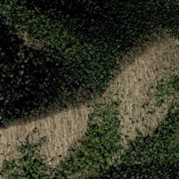 Satellite imagery of Green Ridge, US