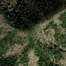 Satellite imagery of Green Ridge, US