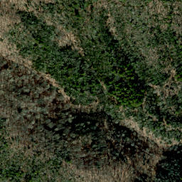 Satellite imagery of Snakeden Ridge, US