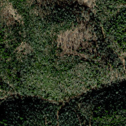 Satellite imagery of Snakeden Ridge, US