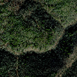 Satellite imagery of Snakeden Ridge, US