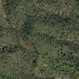 Satellite imagery of Deer Ridge, US