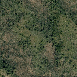 Satellite imagery of Deer Ridge, US