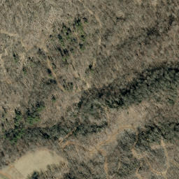Satellite imagery of Lick Ridge, US