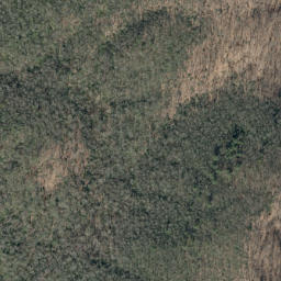 Satellite imagery of Yancey Ridge, US