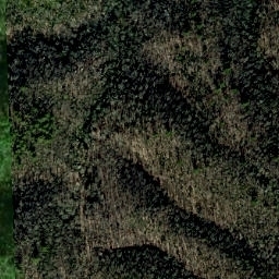 Satellite imagery of Rocky Ridge, US