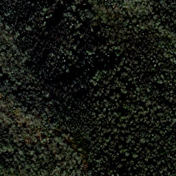 Satellite imagery of Blackstack Cliffs, US