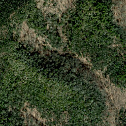 Satellite imagery of Green Ridge, US