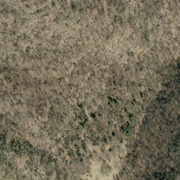 Satellite imagery of Lick Ridge, US