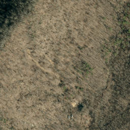 Satellite imagery of Long Ridge, US