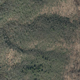 Satellite imagery of Yancey Ridge, US