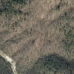 Satellite imagery of Bark Camp Ridge, US