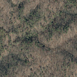 Satellite imagery of Bark Camp Ridge, US