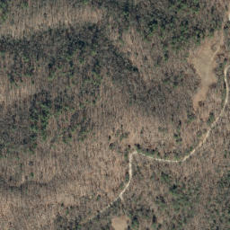 Satellite imagery of Bark Camp Ridge, US