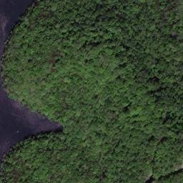 Satellite imagery of Pedigo Ridge, US