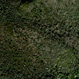Satellite imagery of Whiterock Cliff, US