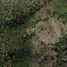 Satellite imagery of Whiterock Cliff, US