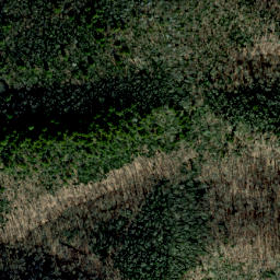 Satellite imagery of Blackpine Ridge, US