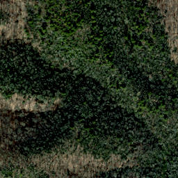 Satellite imagery of Blackpine Ridge, US
