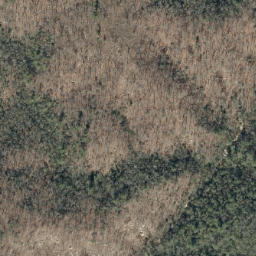Satellite imagery of Yancey Ridge, US