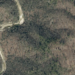 Satellite imagery of Bark Camp Ridge, US