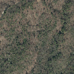 Satellite imagery of Bark Camp Ridge, US