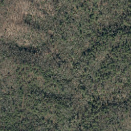 Satellite imagery of Wilson Ridge, US