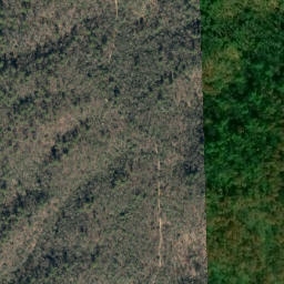 Satellite imagery of Wilson Ridge, US