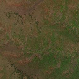 Satellite imagery of 1123.9, JP