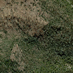 Satellite imagery of Whiterock Cliff, US