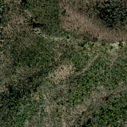 Satellite imagery of Whiterock Cliff, US