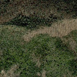 Satellite imagery of Baxter Cliff, US