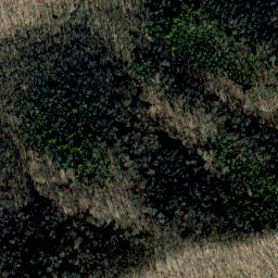 Satellite imagery of Blackpine Ridge, US