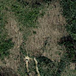 Satellite imagery of Blackpine Ridge, US