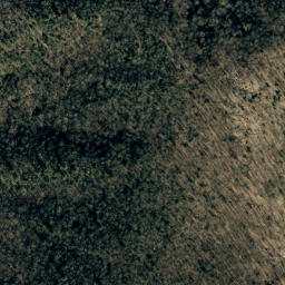 Satellite imagery of Big Ridge, US