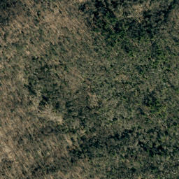 Satellite imagery of Big Ridge, US