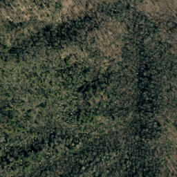 Satellite imagery of Big Ridge, US