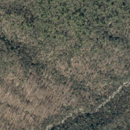 Satellite imagery of Big Lost Cove Cliffs, US