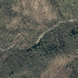Satellite imagery of Big Lost Cove Cliffs, US