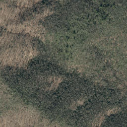 Satellite imagery of Timber Ridge, US