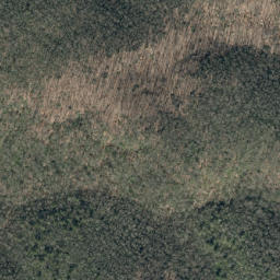 Satellite imagery of Timber Ridge, US