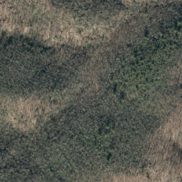 Satellite imagery of Timber Ridge, US
