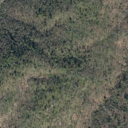 Satellite imagery of Bark Camp Ridge, US