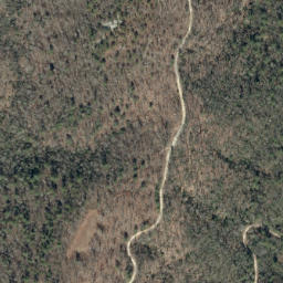 Satellite imagery of Bark Camp Ridge, US