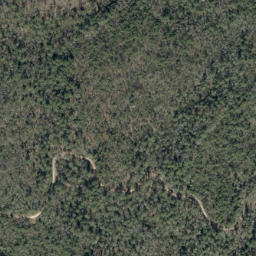Satellite imagery of Bark Camp Ridge, US