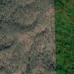 Satellite imagery of Wilson Ridge, US