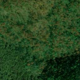 Satellite imagery of Wilson Ridge, US
